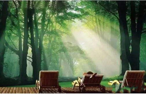 威大空氣凈化活性炭給您一個五星級的居住環境！電話：13838587319 孫經理